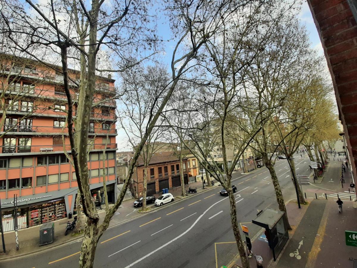 Appartement Pont Des Catalans Toulouse Dış mekan fotoğraf
