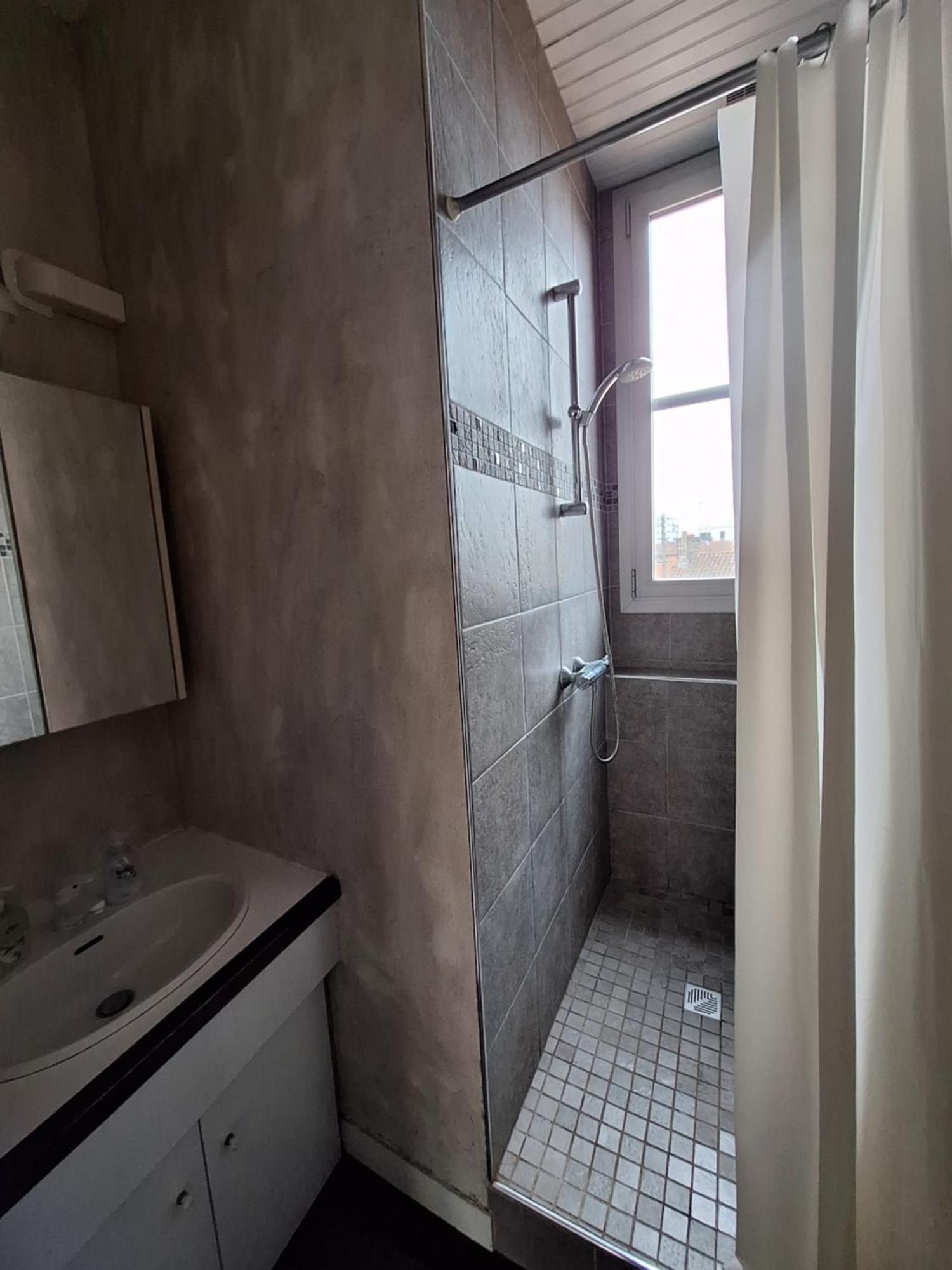 Appartement Pont Des Catalans Toulouse Dış mekan fotoğraf